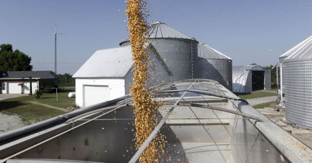 USDA Fraud, Bank Scheme, and Stalking Land Iowa Farmer in Prison for 13 Years