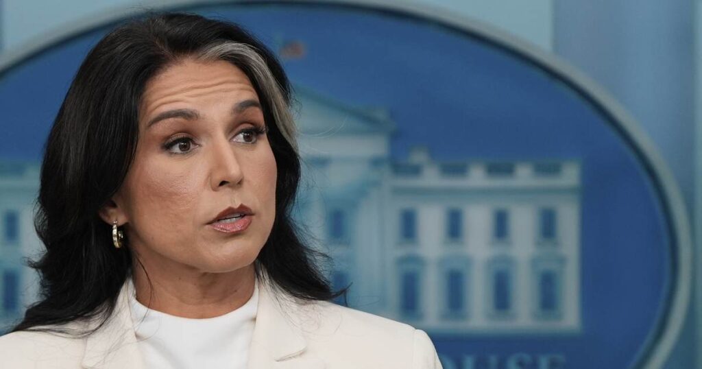 Wait, It Was Roger Stone Who Saved Tulsi Gabbard?