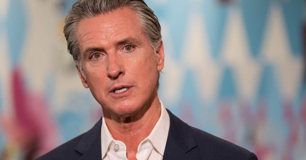 Gavin Newsom Is Now Trying to Take Credit for Cracking Down on California Fraud. Don’t Let Him.